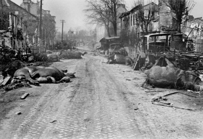 #13 Escaped animals, killed on the streets of Berlin, 1945.