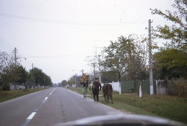 #31 On the road from Bucharest to Sinaia, 1971