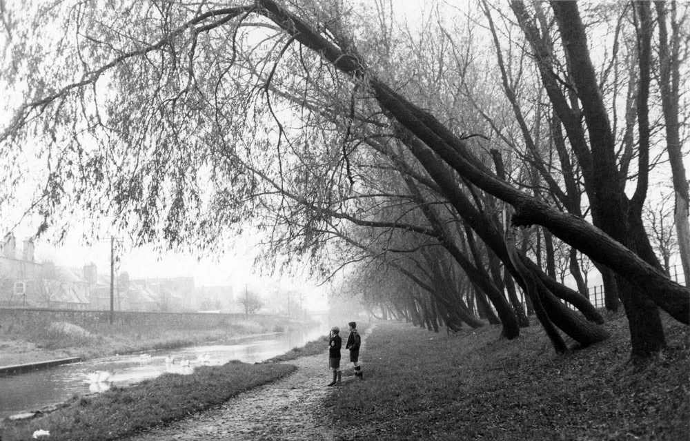 #45 Children at Canal Swans Willows, Near Harrison Road, Edinburgh, 1960