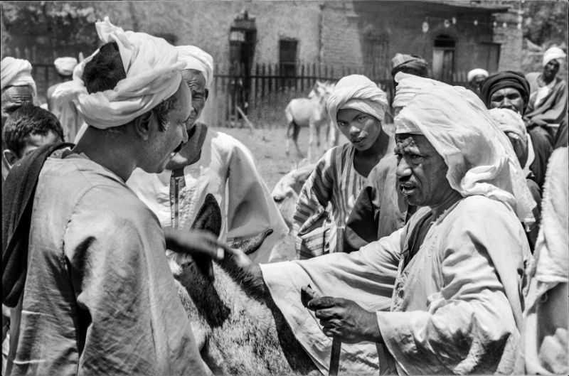 #120 Bargain, Luxor, August 1981