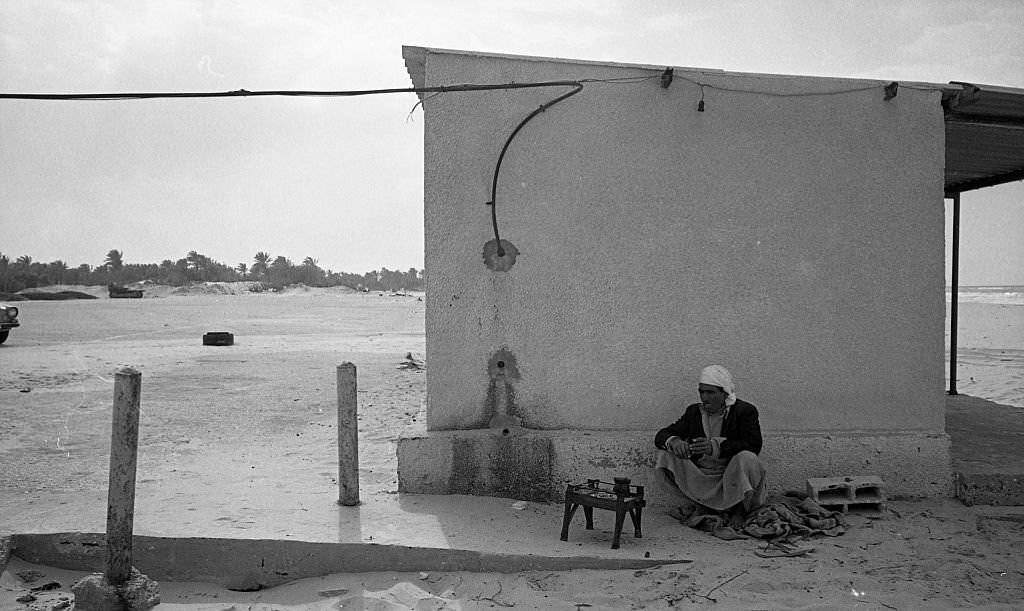 #27 Restitution of Sinai, 1982