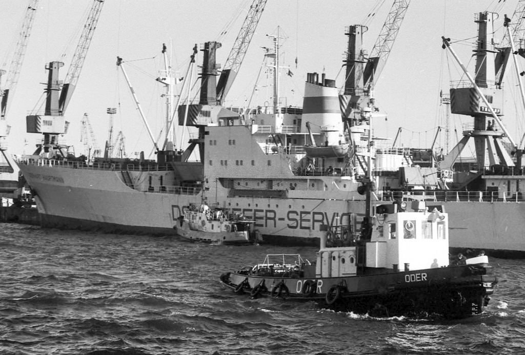 #69 Seaport of Rostock – transshipment of tropical fruits.