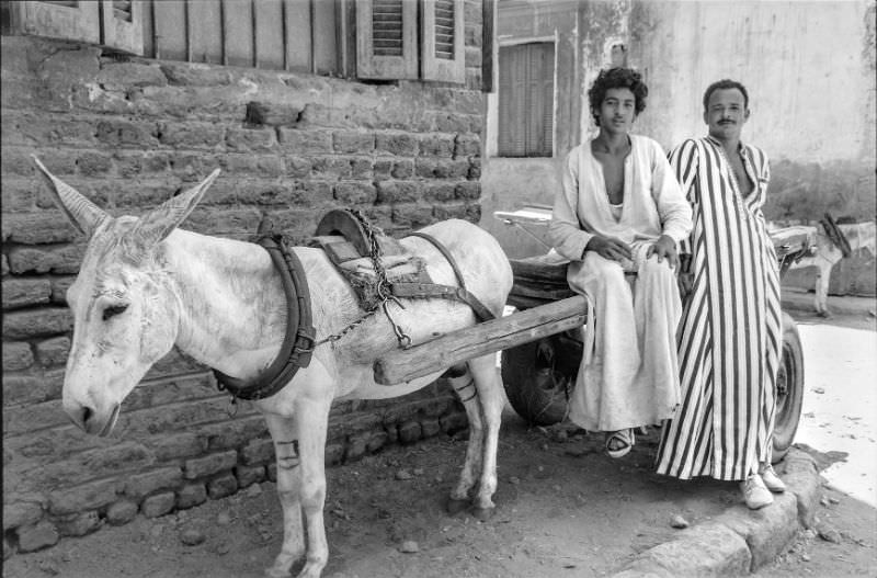 #82 Delivery man and his brother, Aswan, August 1981
