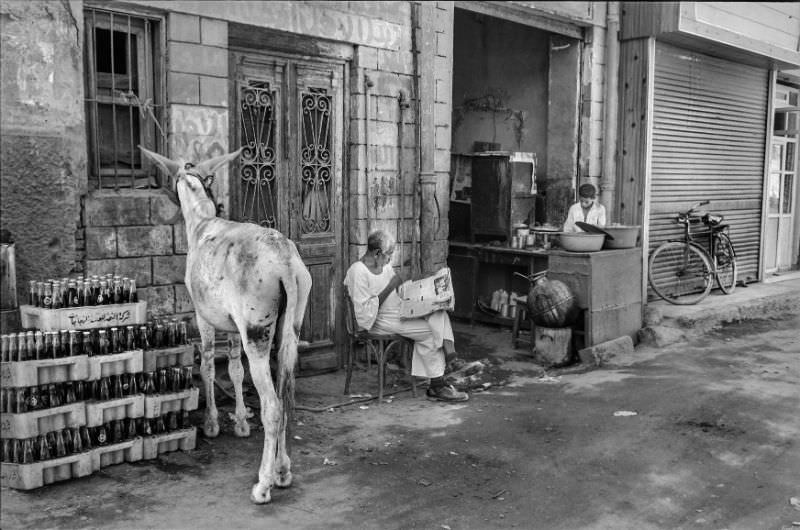 #94 Soft drink merchant, Aswan, August 1981