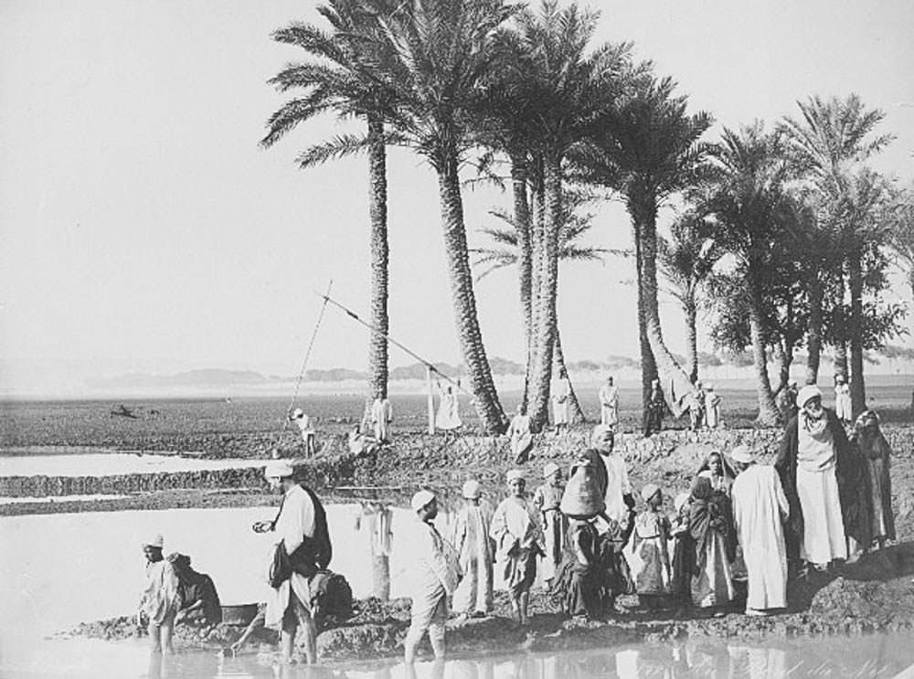 #130 Along the Nile, Cairo, 1880