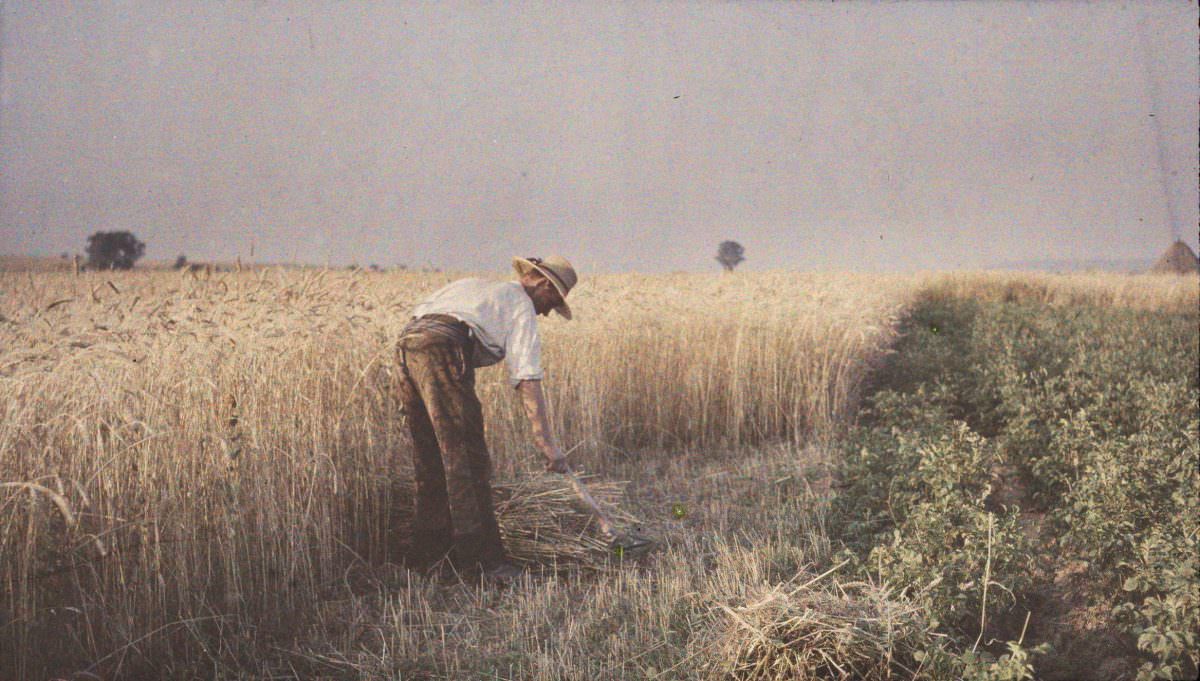 #3 Man working in the field, 1907