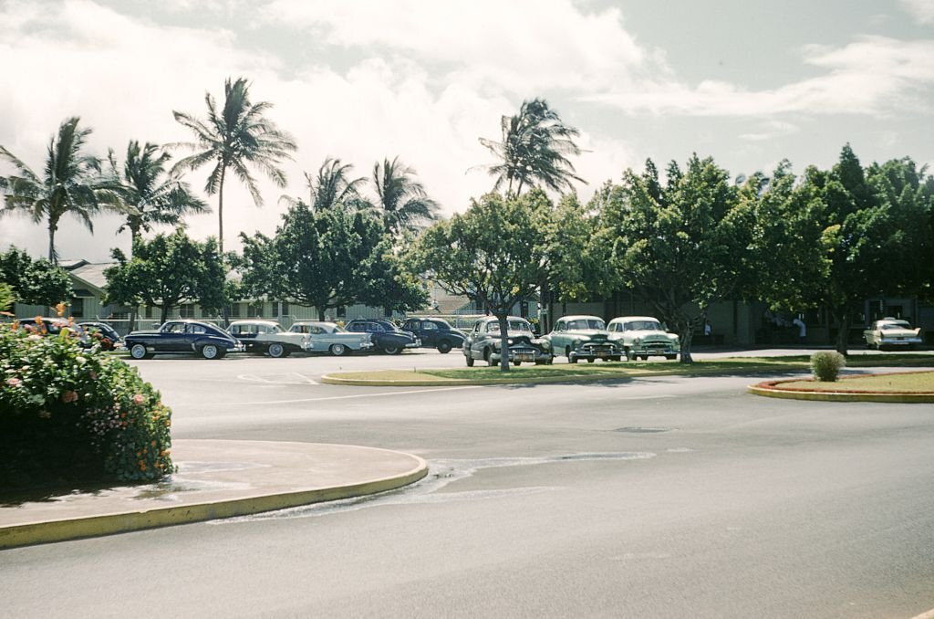 #138 Cars parked among palm trees, Honolulu, Hawaii, 1952