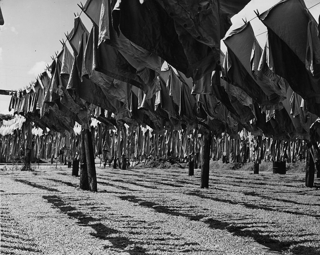 #91 Rows of Hawaiian solldier’s uniforms hung out to dry on an army camp outside Honolulu, 1950