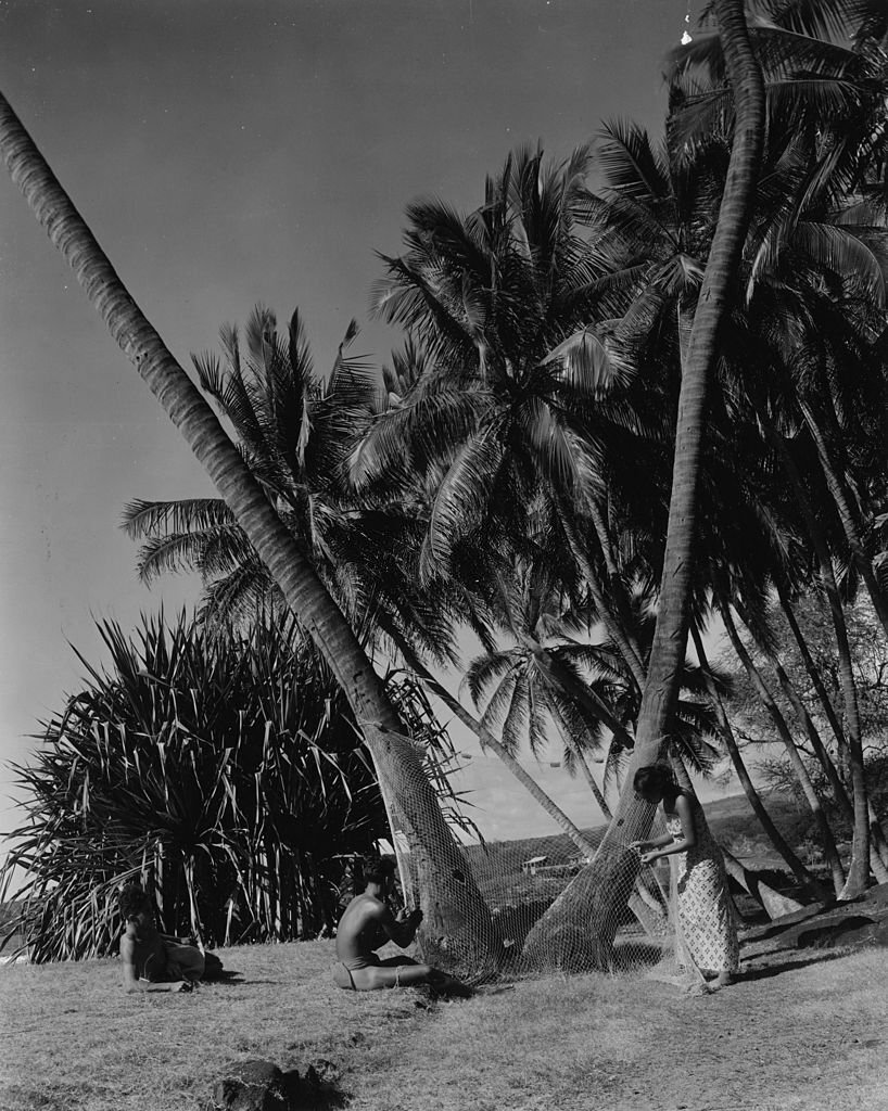 #8 A couple repairing a net strung between two palm trees in a remote part of Hawaii, 1950