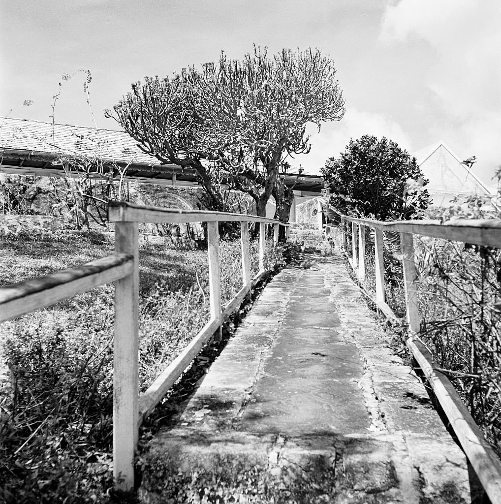 #25 Pathway Leads to a Home, 1950