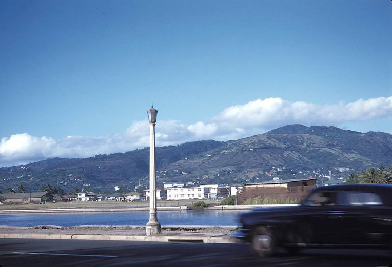 #26 Ala Wai Boulevard next to Ala Wai Canal, Waikiki, Honolulu, Hawaii