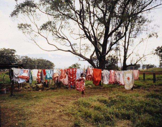 #108 Washing hung out to dry, Hawaii, 1959