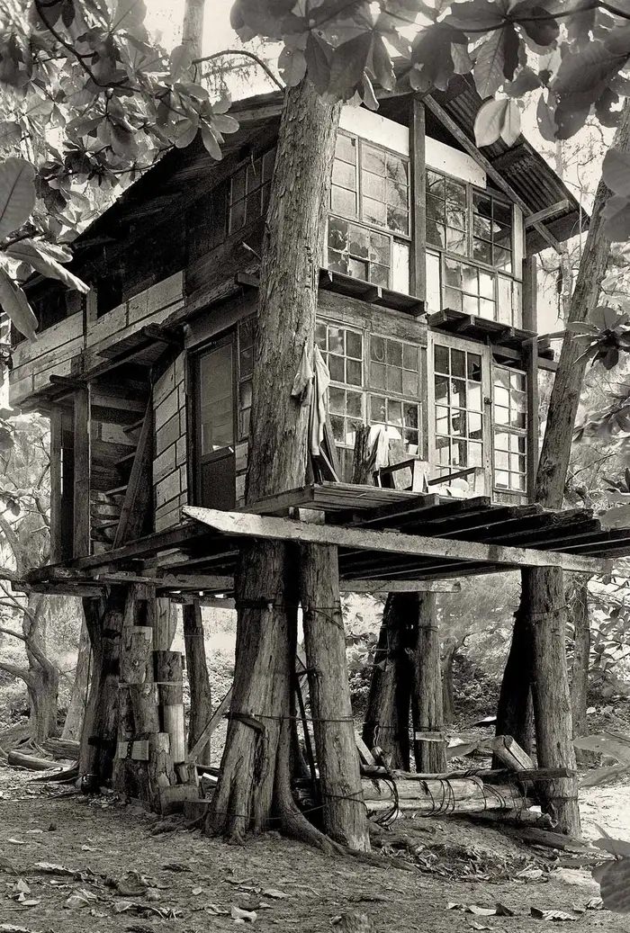 #1 A group of young people started camping out on the beach in Kauai in the late 1960s, and over the next several years, built a community of treehouses known as Taylor Camp.