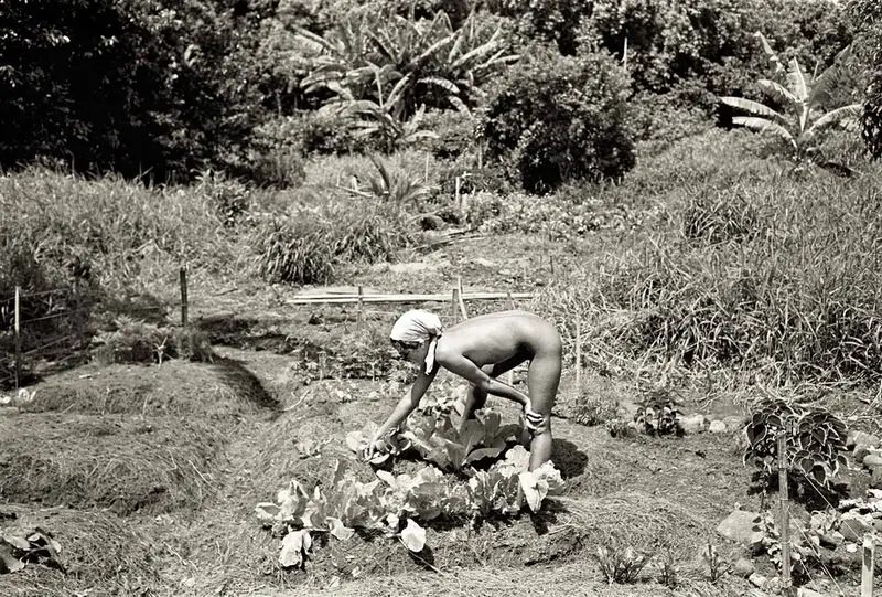 #11 They attempted a back to the land ideology, fishing and farming, while also relying on welfare and food stamps.