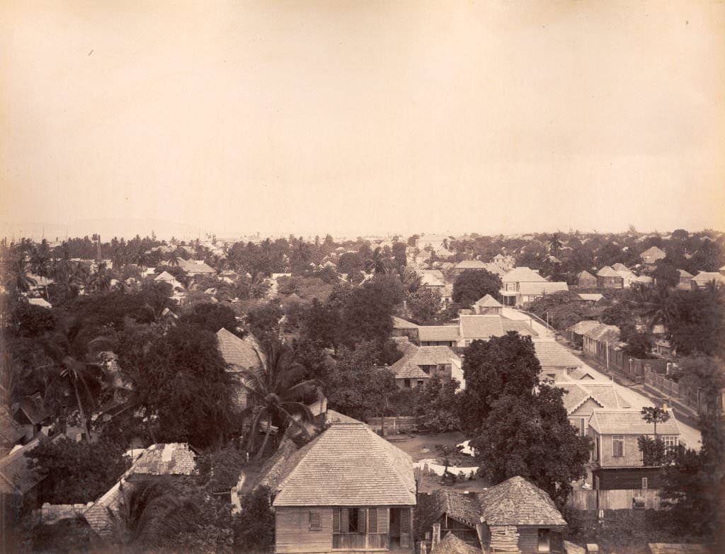 #6 Kingston – looking west, 1891