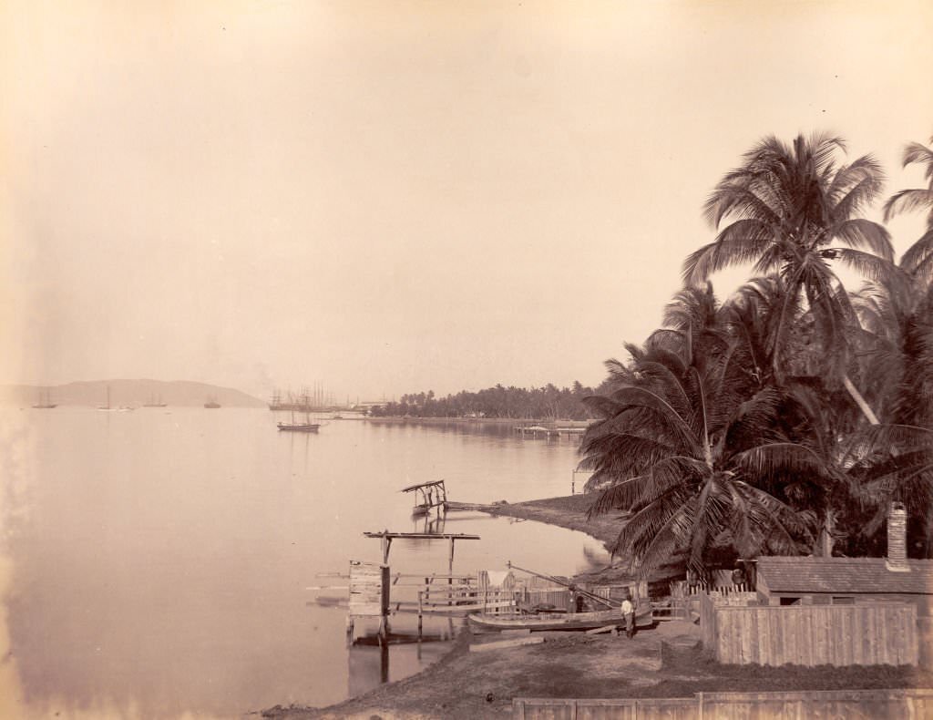 #8 Kingston harbour, 1891