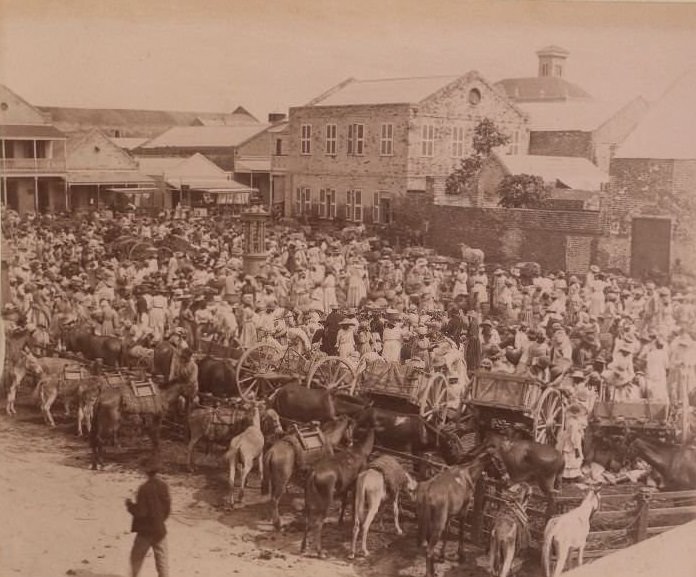 #21 Crowds of people and animals, 1870s