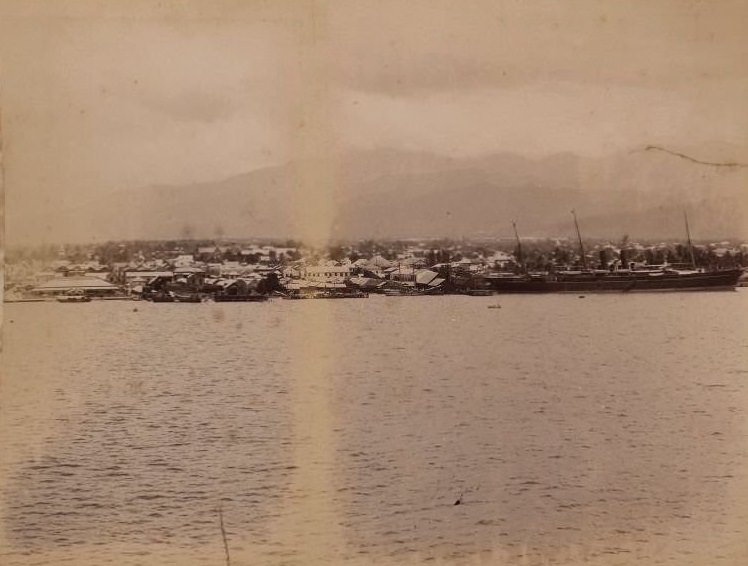#22 Showing Kingston from the sea, 1860s