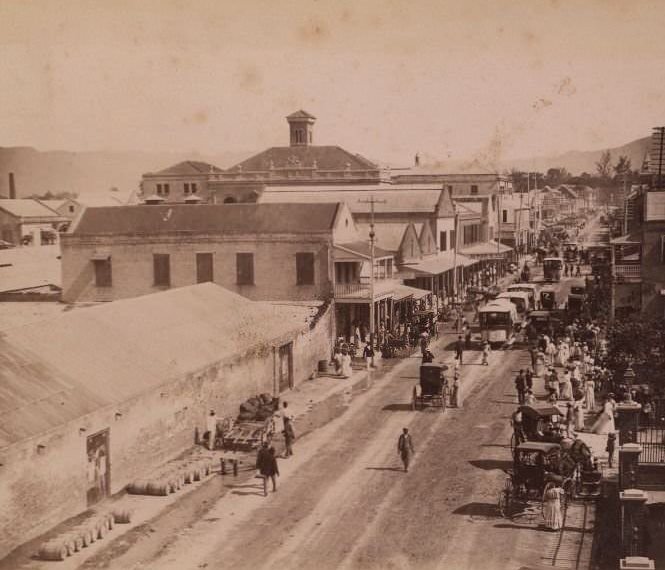 #61 Lively street scene taken from above. Street full of people and vehicles, 1870s