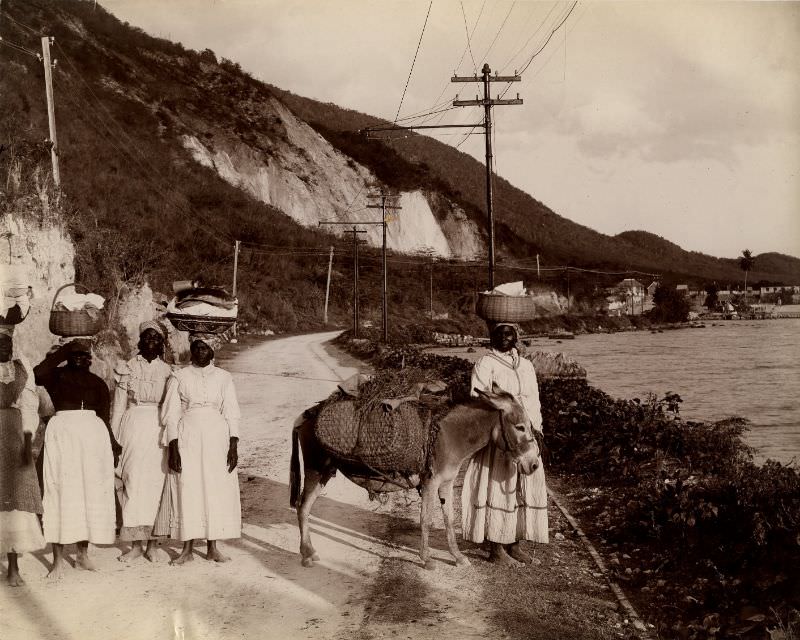 #39 Going to market, Rockfort Road, Kingston, Jamaica, 1890