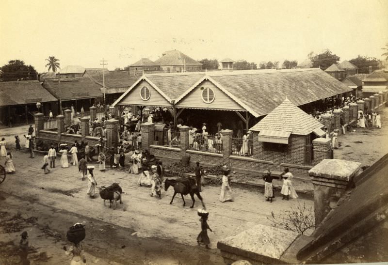 #64 Jubilee Market, West Parade, Kingston, Jamaica, 1890