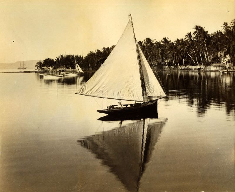 #47 A bit on Kingston Harbor, Jamaica, 1891