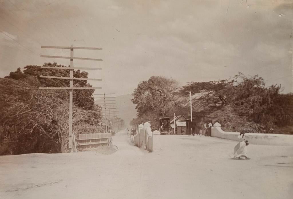 Rails laid down for mule-drawn trams criss-cross a road bridge flanked by telegraph poles at Kingston, 1894