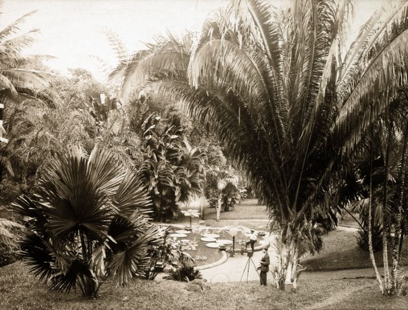 #48 Castleton Gardens, Kingston, Jamaica, 1891