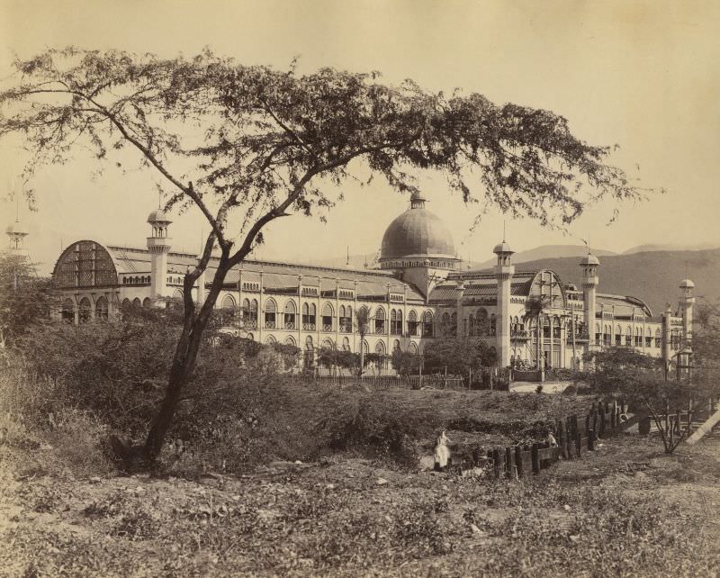 #50 Kingston Exhibition, Jamaica, 1891