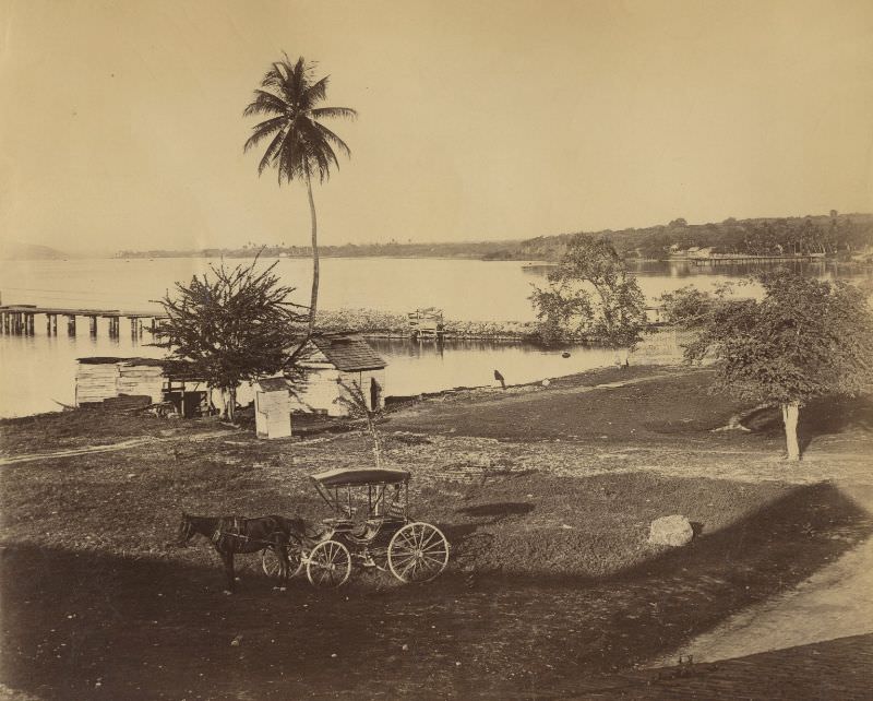 #76 Kingston view from Rock Fort, Jamaica, 1891