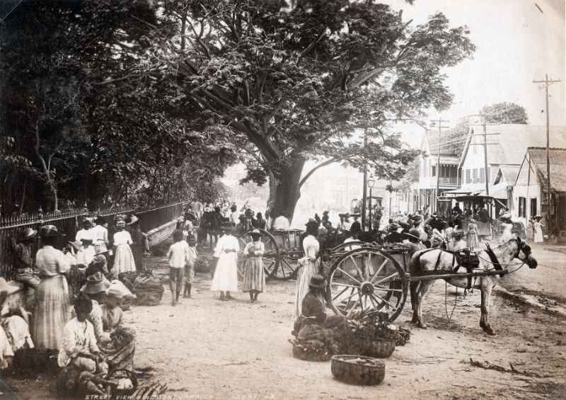 #77 Kingston, Jamaica, 1891