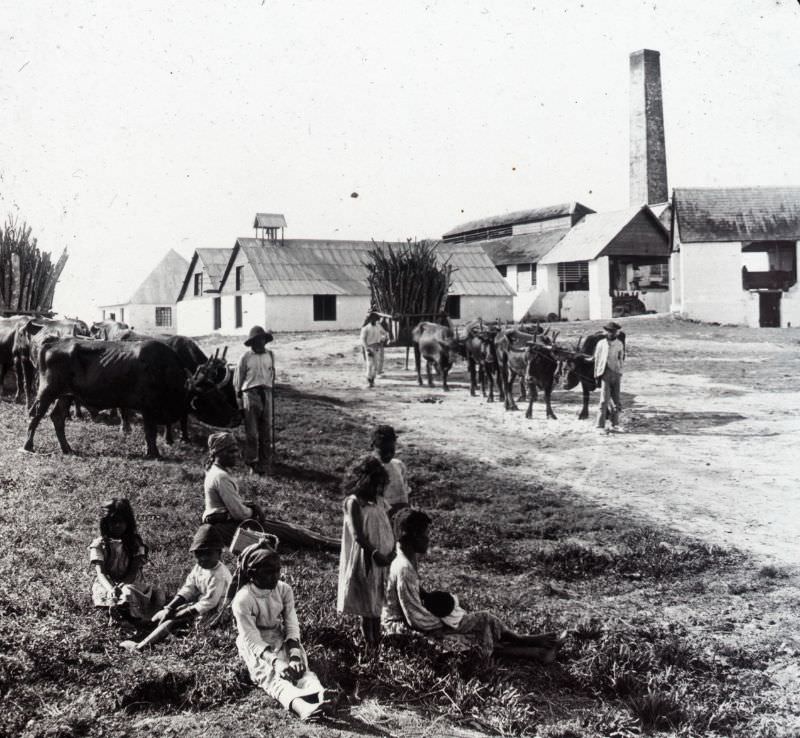 #57 Sugar mill, Kingston, Jamaica, 1891