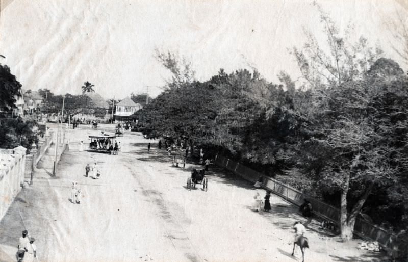 #79 Kingston Gardens, Jamaica, 1897