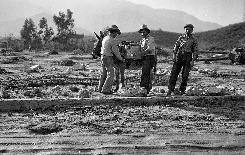 #12 A burro is used to move water and supplies after New Year’s Eve flooding in the La Crescenta area, 1934
