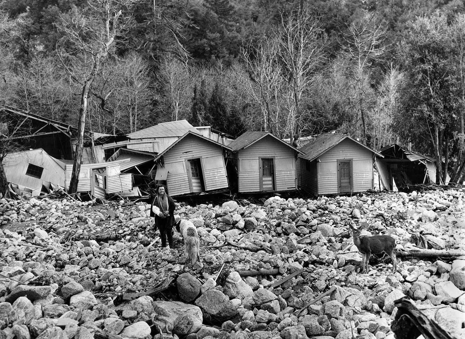 #7 Ruth Curry, with a broken arm, owner of Camp Baldy resort, stands in front of shattered cabins after floodwaters destroyed the majority of them, 1938