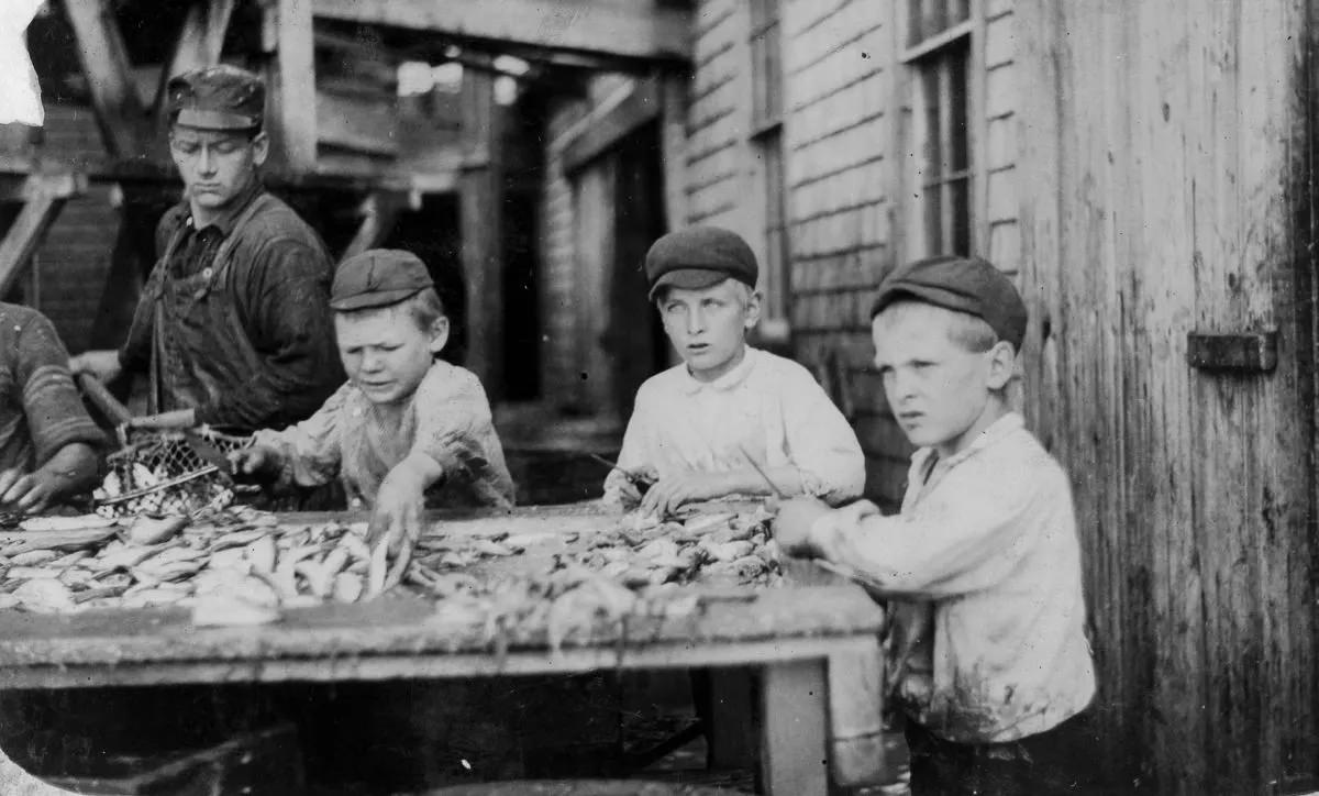 #21 Three young cutters who work in Seacoast Canning Co., Factory #4. Ages 10 to 12. Work regularly.”