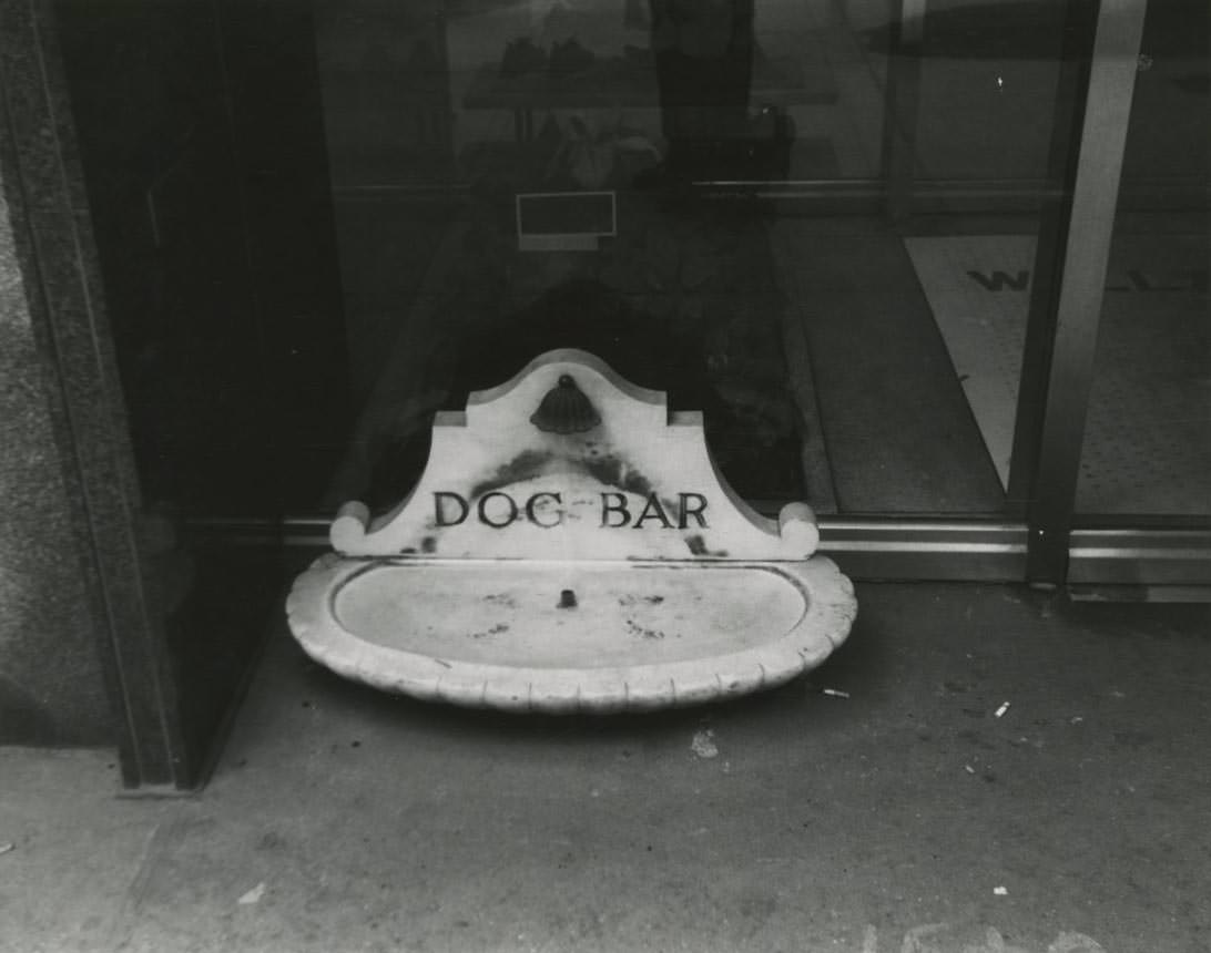 #14 Small stone sculpture inscribed with the words DOG BAR on the ground at Wallachs clothing store on Fifth Avenue and 44th Street.