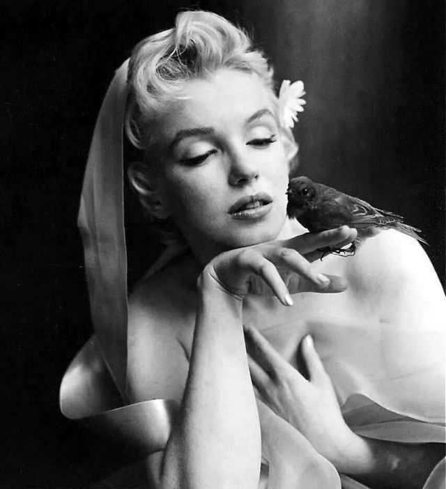 Gorgeous Portraits of Marilyn Monroe taken by Cecil Beaton in 1956 Celebrities