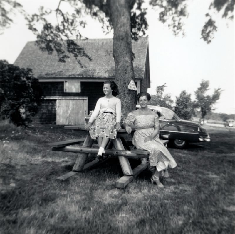 #18 Two stylish ladies, possibly mother and daughter, posing on a picnic table in the countryside, 1955