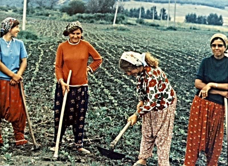 #12 Village girls in tobacco field, Polyanovo, Bulgaria, 1973
