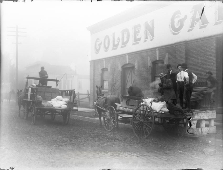 #73 Golden Gate Packing company, 1920