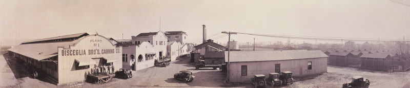#155 Bisceglia Bros. Canning Co., located at South 1st Street, San Jose, 1925