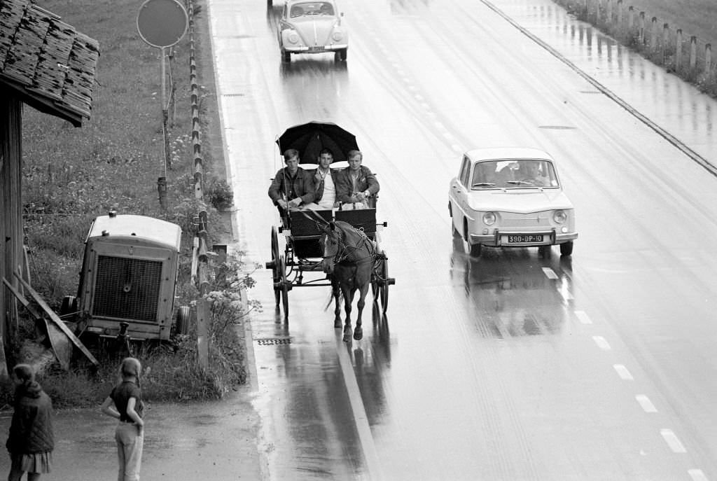 #117 Holiday trip on a horse drawn carriage: 3 young men in the region of Biel, 1970
