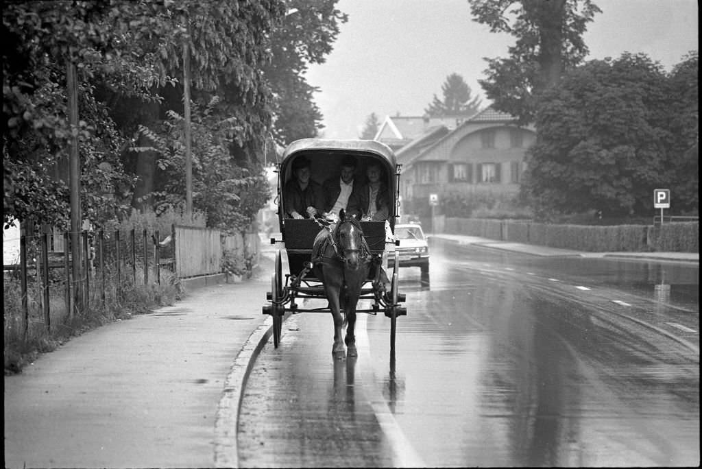 #118 Holiday trip on a horse drawn carriage: 3 young men in the region of Biel, 1970