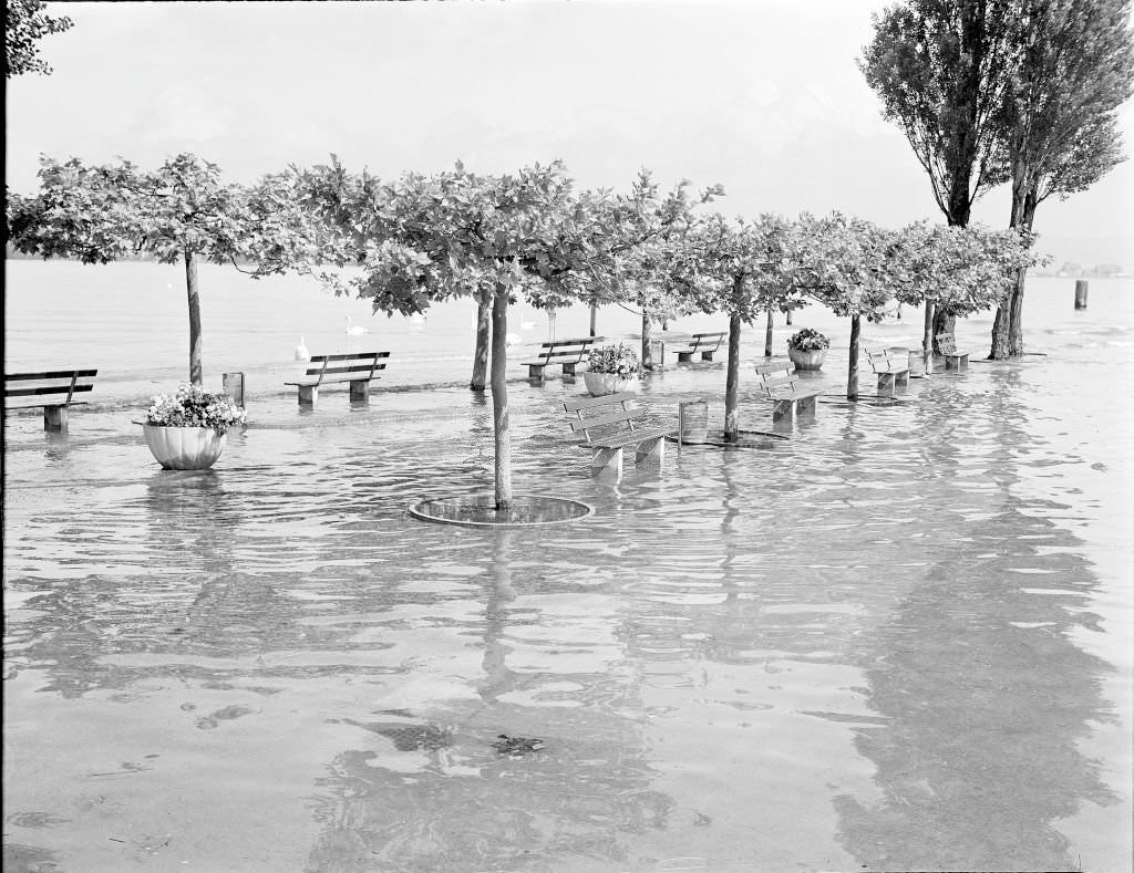 #148 Flood at Lake Constance, 1970