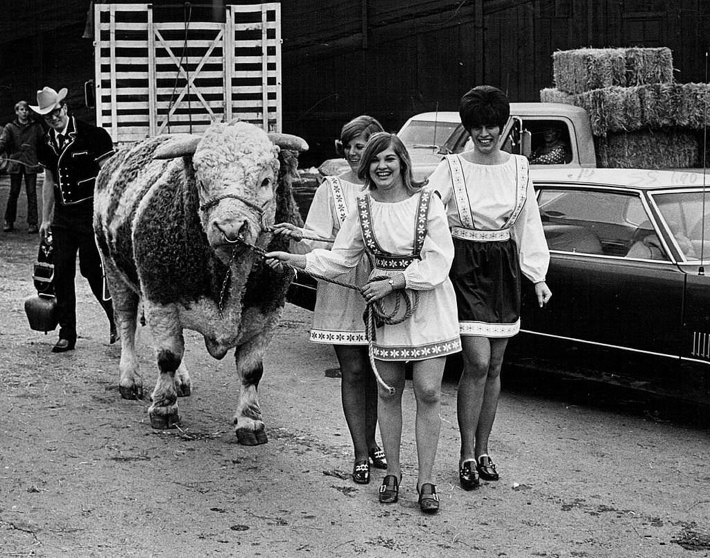 #241 Getting Ready for Stock Show; Three Swiss girls who work for the American, 1971