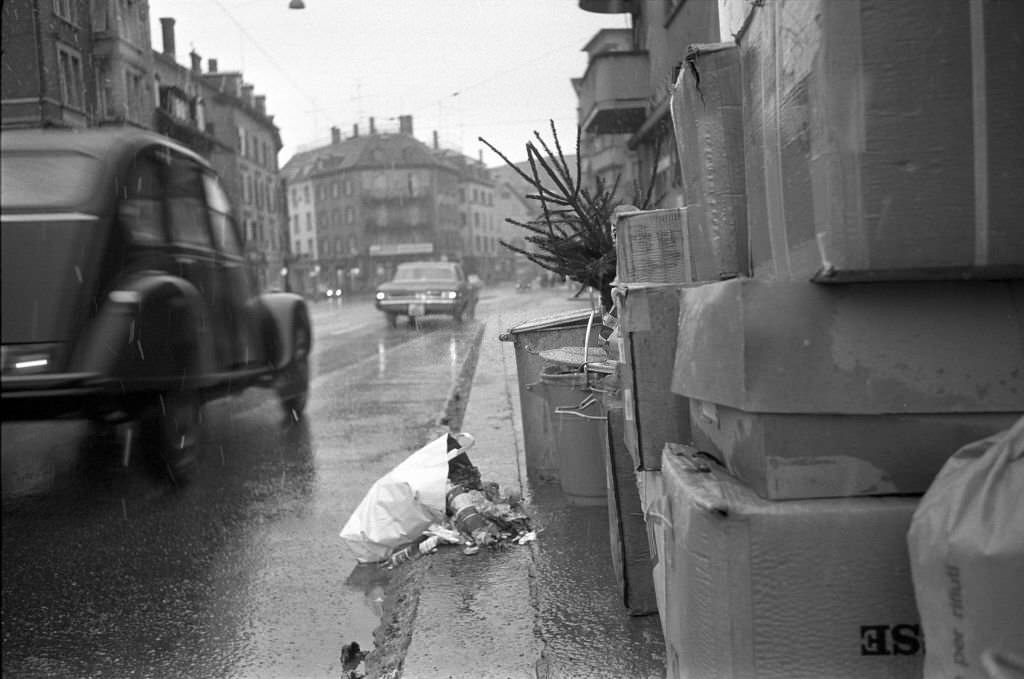 #43 Christmas tree near rubbish bins, january 1970