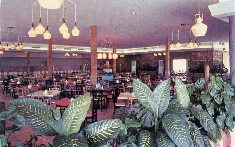 #14 Driftwood Cafeteria at 101 Skyway Boulevard (Highway 19), St. Petersburg, Florida