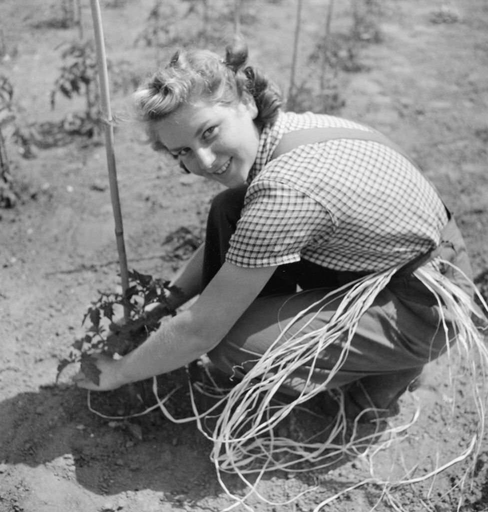 #102 Cecil Beaton Photographs: Women’s Horticultural College, Waterperry House, Oxfordshire, 1943