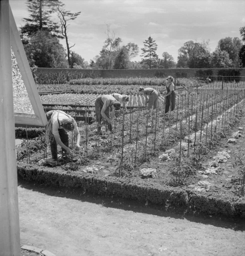 #104 Cecil Beaton Photographs: Women’s Horticultural College, Waterperry House, Oxfordshire, 1943